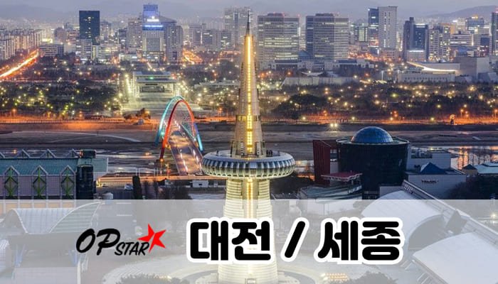 대전,세종