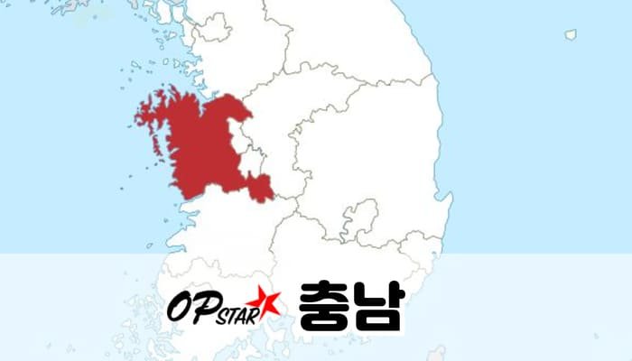 충남